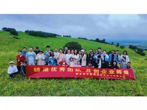 從空調房到草原天路，公司帶你解鎖夏日新體驗。